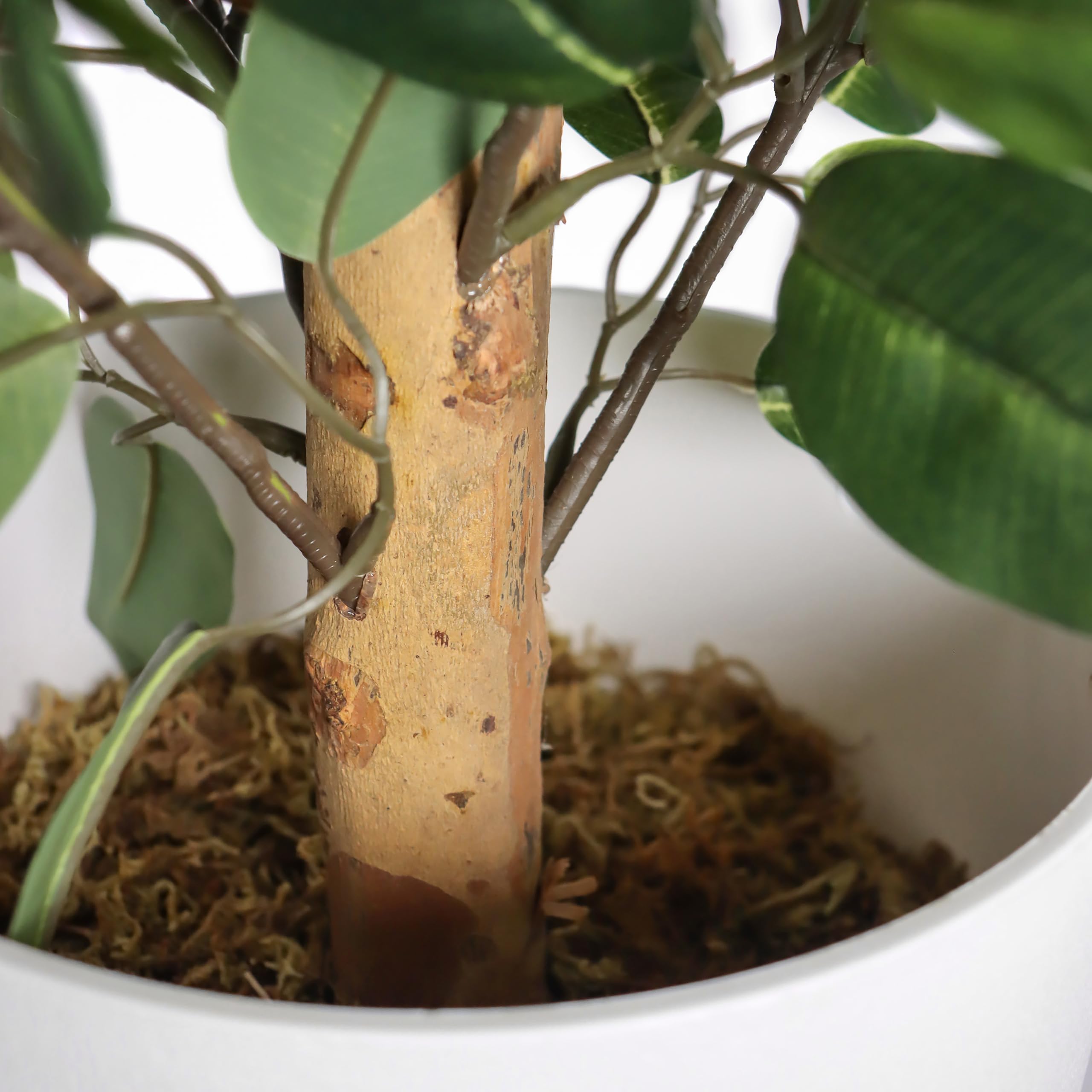 hjh OFFICE Planta Artificial 65 cm FICUS II Planta Artificial Decorativa, Higo de Abedul, árbol Artificial de fácil Cuidado