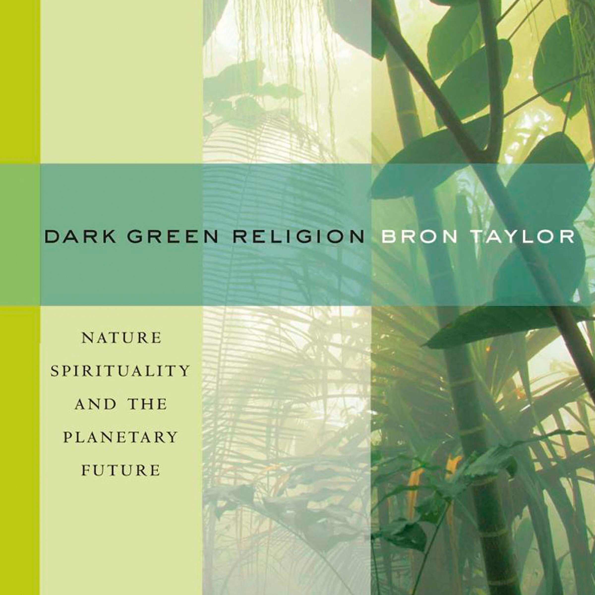 Cover art for Dark Green Religion: Nature Spirituality and the Planetary Future