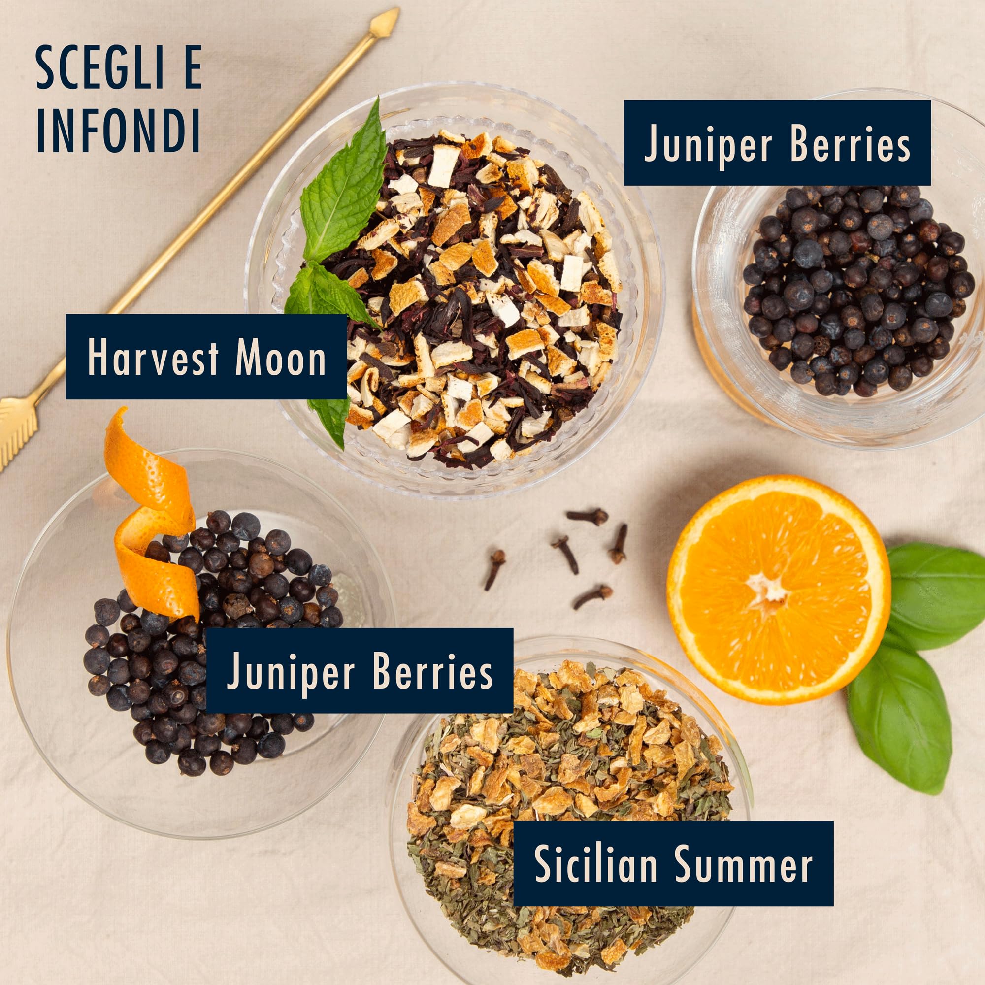 Kit Infusione Gin by Craftly | Kit per la preparazione di cocktail | Regalo Bartender | Regali di compleanno per lui e per lei | Regali di anniversario per uomini e donne | Spezie e bottiglia