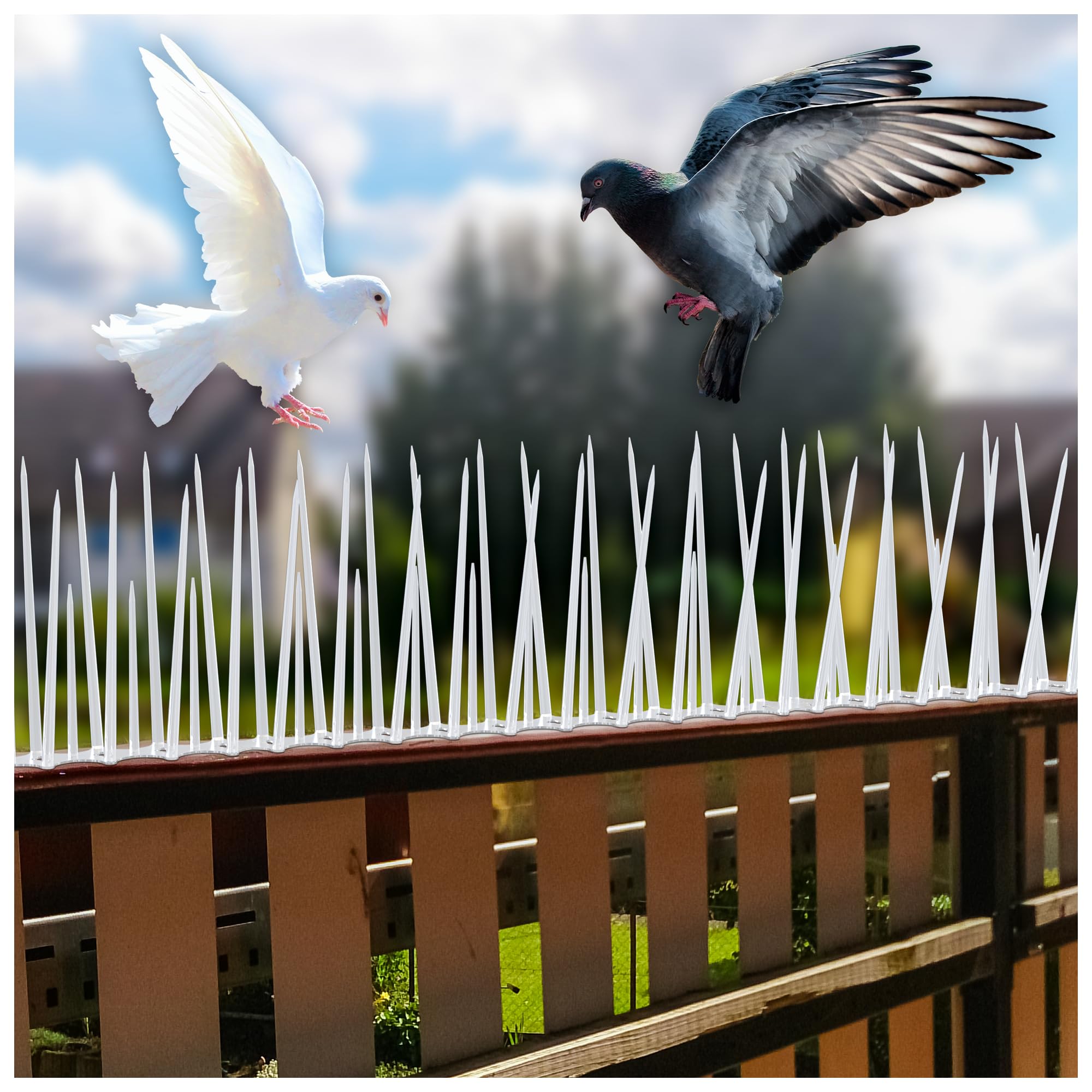 Eightiz (10 Pcs with Zip Ties) Bird and Pigeon Spikes, Control Anti Bird Plastic Spikes for AC Balcony Railing Window Home Protection from Pigeon Dog Monkey Crow Kabootar Transparent(Polycarbonate)