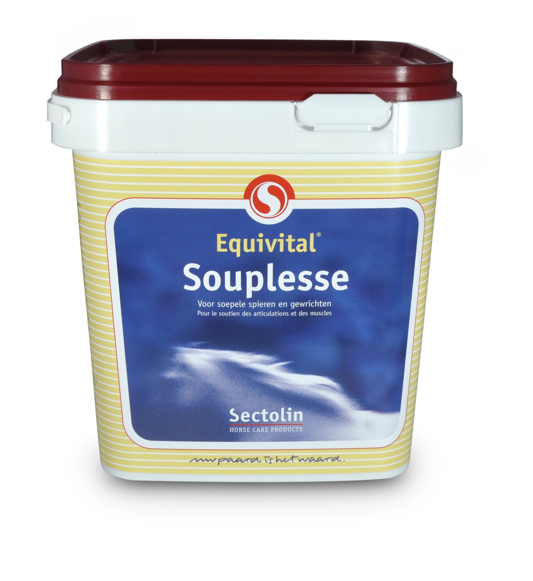 Equivital Glucosamine, Chondroïtine & MSM - 1 kg