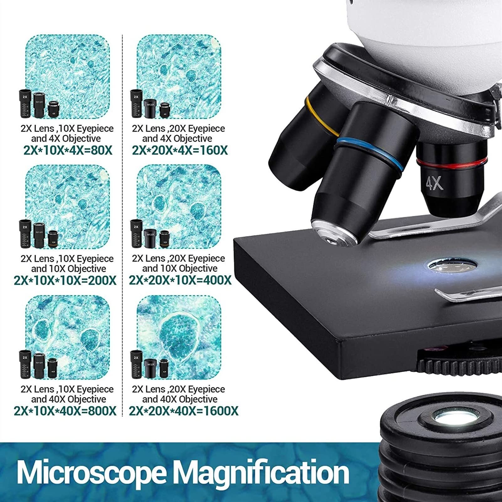 Microscopio, Microscopio biológico for niños 1600x Compuesto Dual LED Microscopios con Adaptador de teléfono