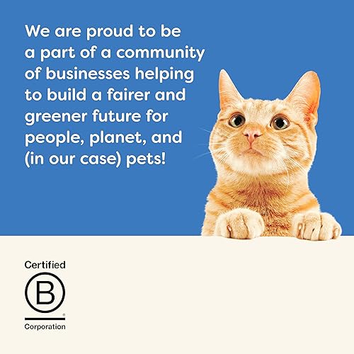 Miniatura 6 de Applaws Alimento húmedo natural para gatos, 8 unidades, ollas de comida para gatos de ingredientes limitados, variedad de pescado en caldo, macetas