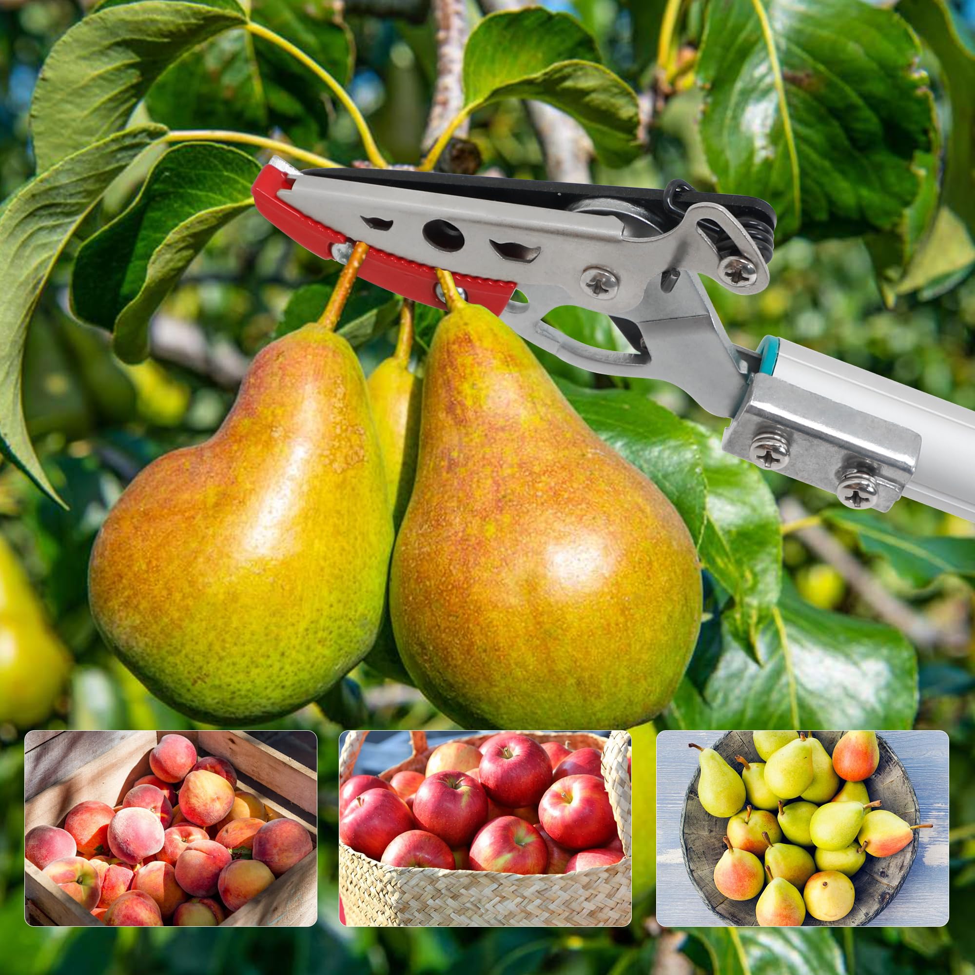 FLORA GUARD Tijeras recolectoras de frutas 80 cm | Tijeras de poda de jardín con mango giratorio 180°, bloqueo de seguridad y corte de ramas