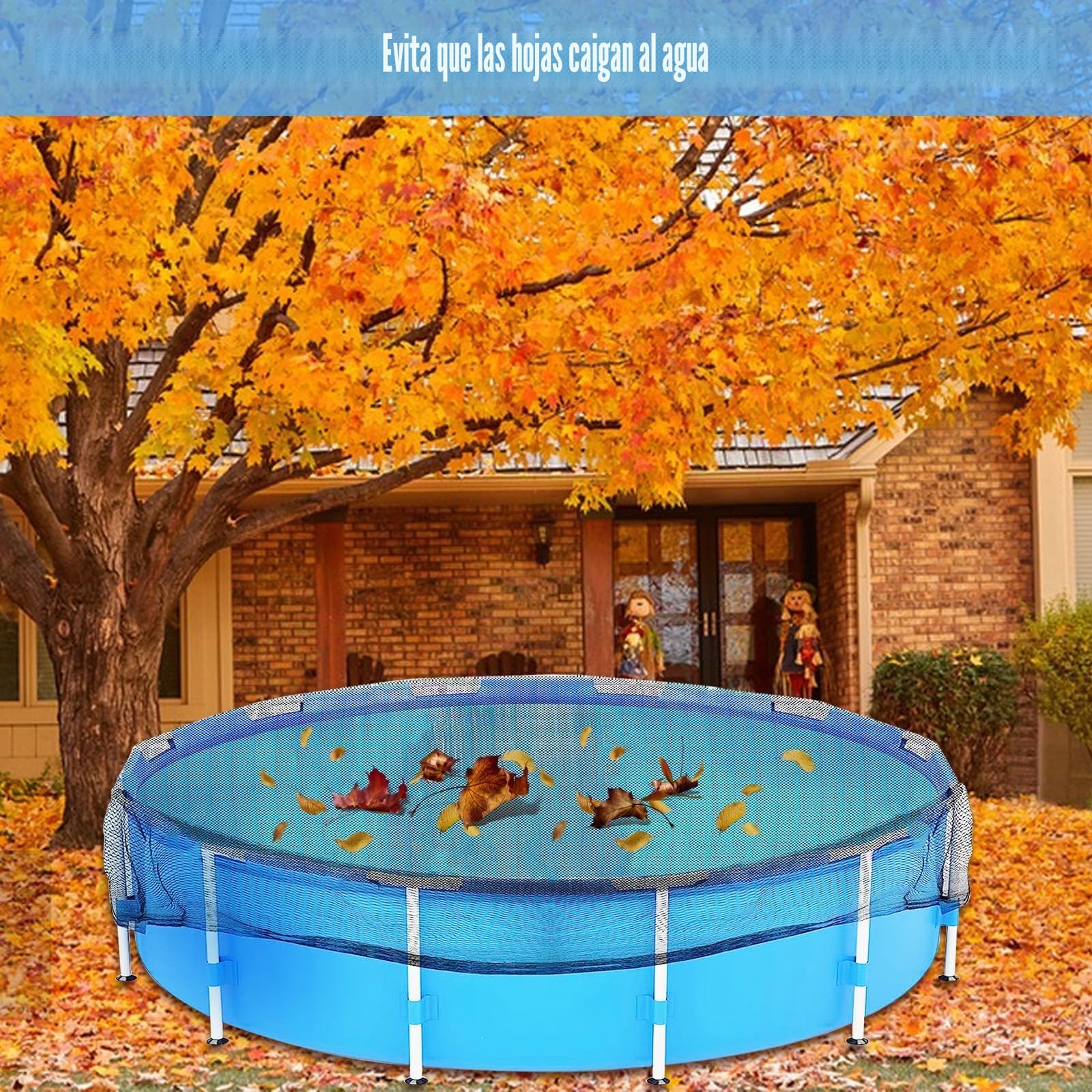 Cubierta de piscina redonda, red de estanque de 6 x 6 m para piscinas de 550 cm de diámetro, malla fina (12 x 12 mm), red de piscina con 12 pinzas metálicas, protección ideal de piscinas