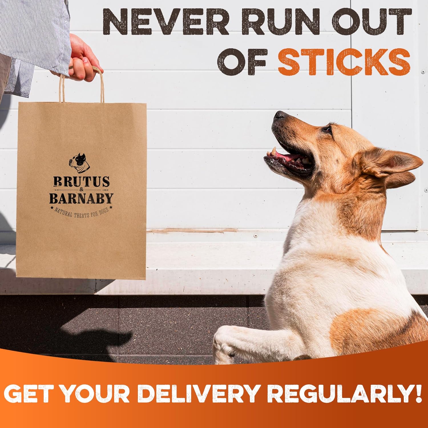 BRUTUS & BARNABY Skinny Bully Sticks for Dogs 6 Inch (16 Count) - Natural Grass-Fed Beef Chew Sticks, Odor Free, Single Ingredient, Rawhide Free - for Small Dogs, Medium Dogs & Puppies