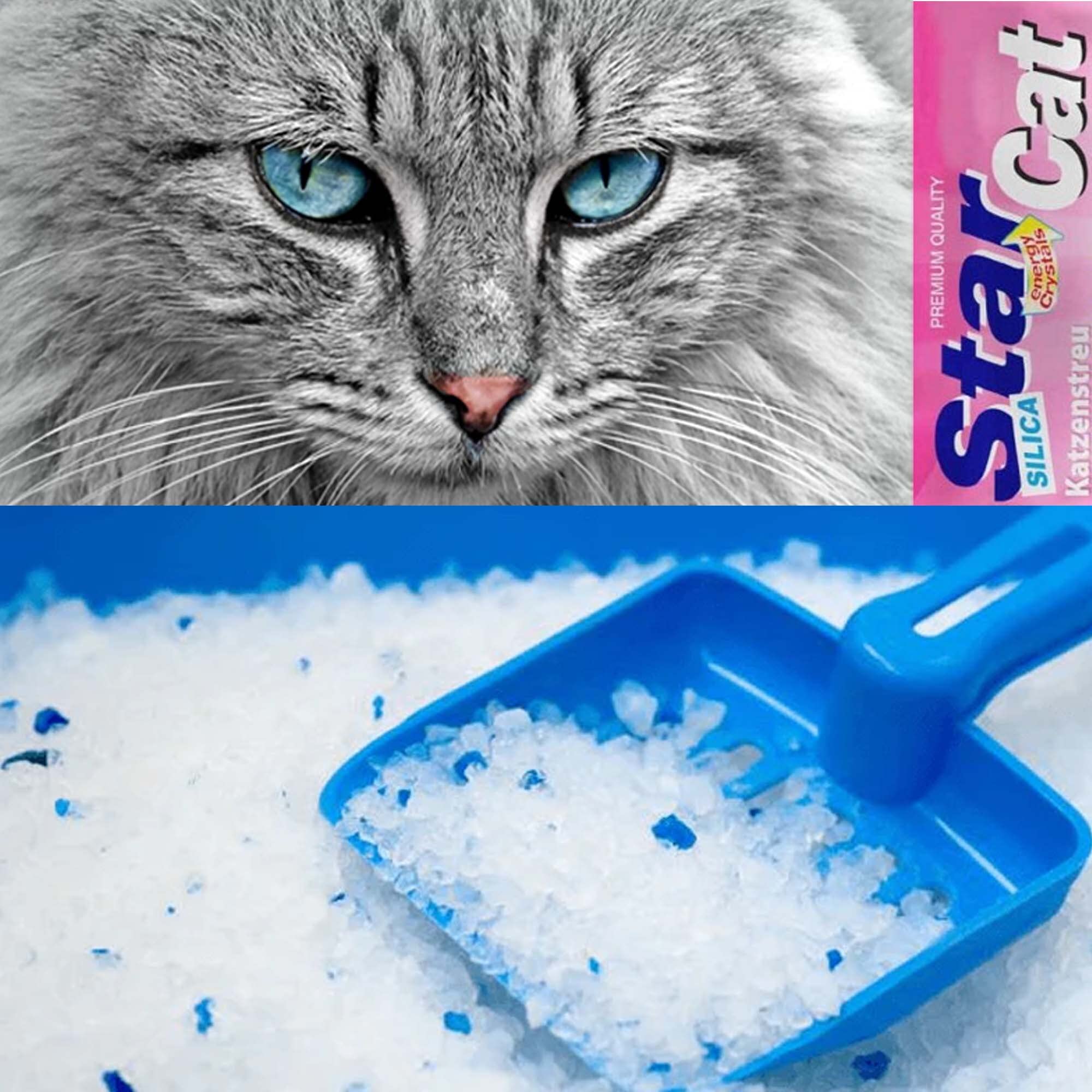 Star Cat Silikat Hygiene Katzenstreu vom PowerCat Hersteller 12x 5L (60L) mit Magic Power Clean Crystals absorbiert Urin in Sekundenschnelle und wirkt antibakteriell