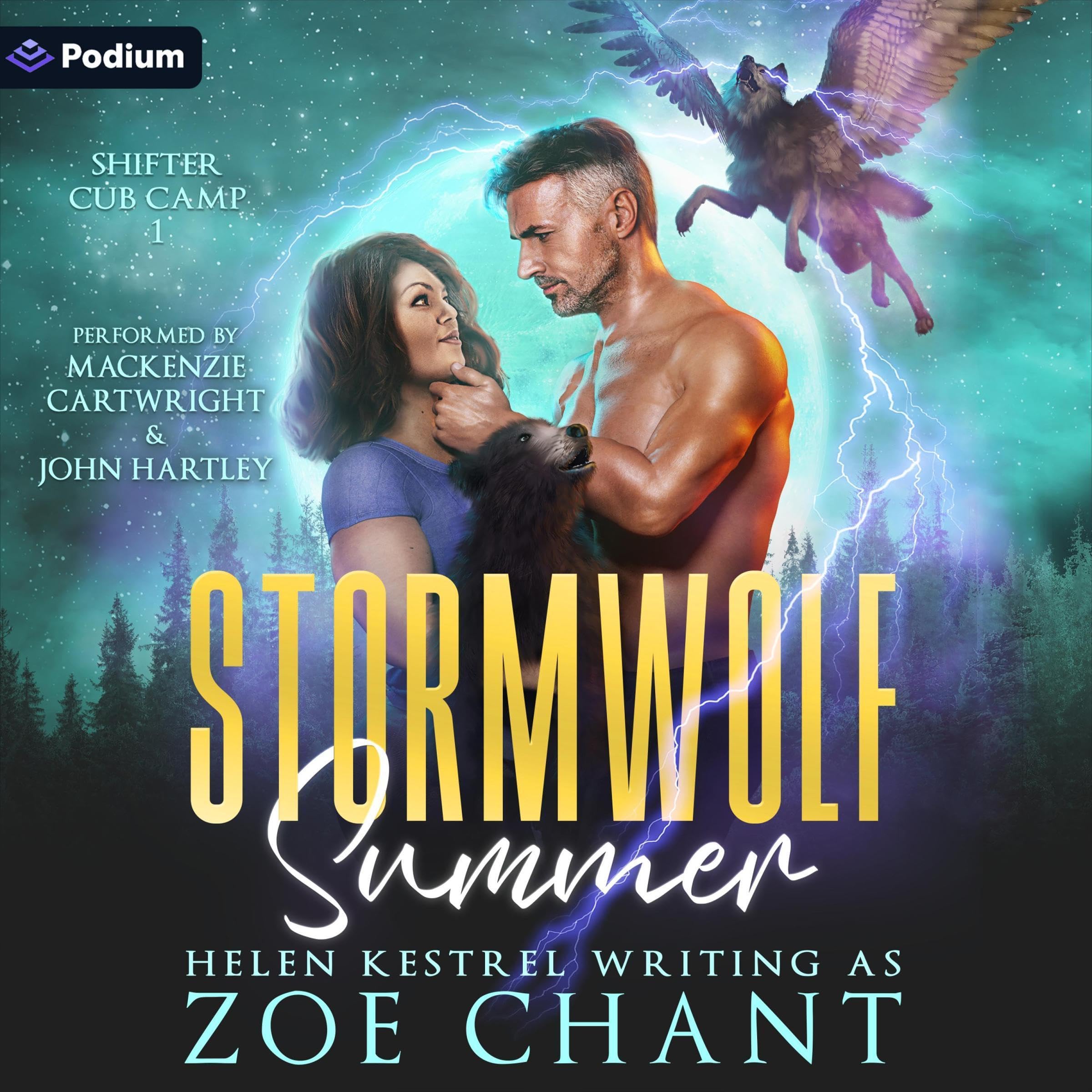 Cover art for Stormwolf Summer