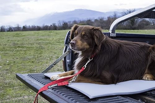 Miniatura 3 de neewa Tre di cama para perro, gris