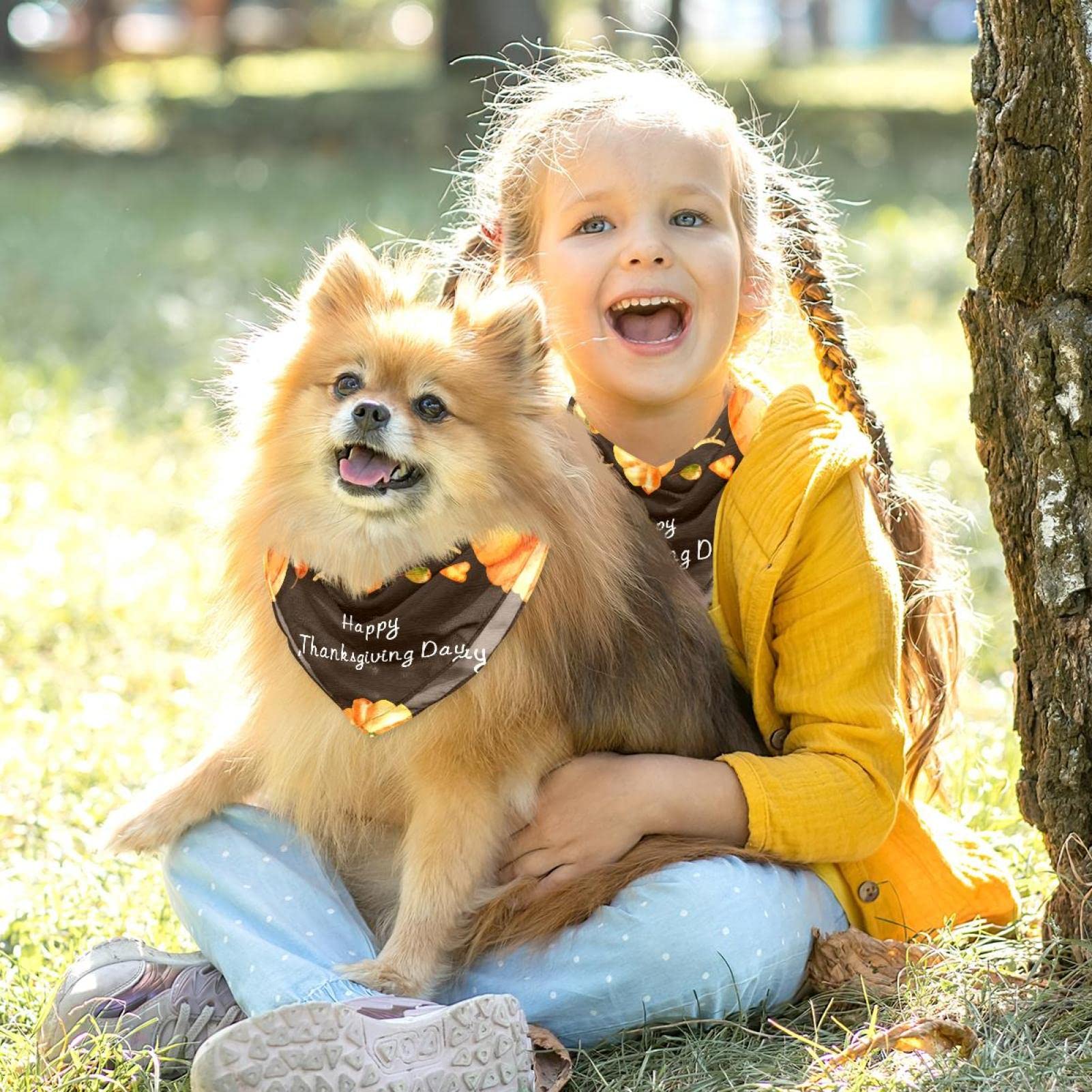 2er-Set Hunde-Halstücher – Wendbar Mit Kürbis & Herbstmotiven, Verstellbar, Für Große Hunde
