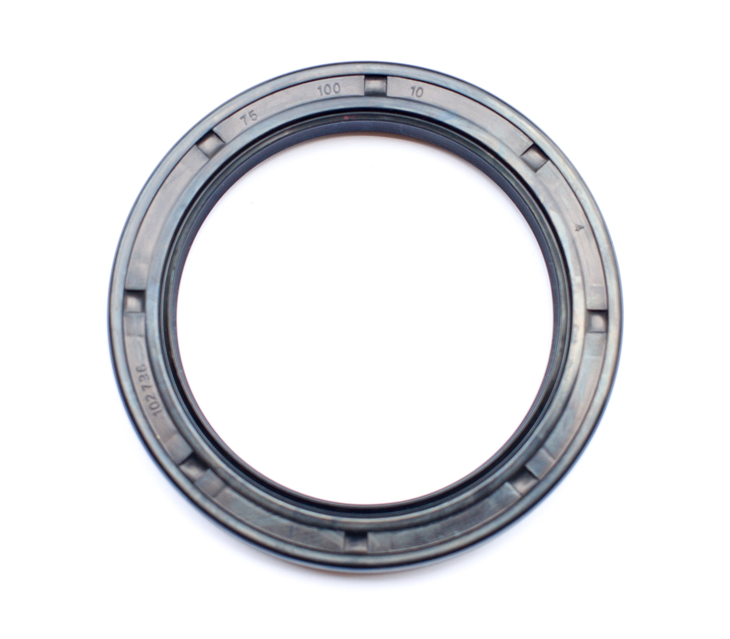 55x100x10mm R23/TC Double Lip Nitrile Rotary Shaft Oil Seal with Garte