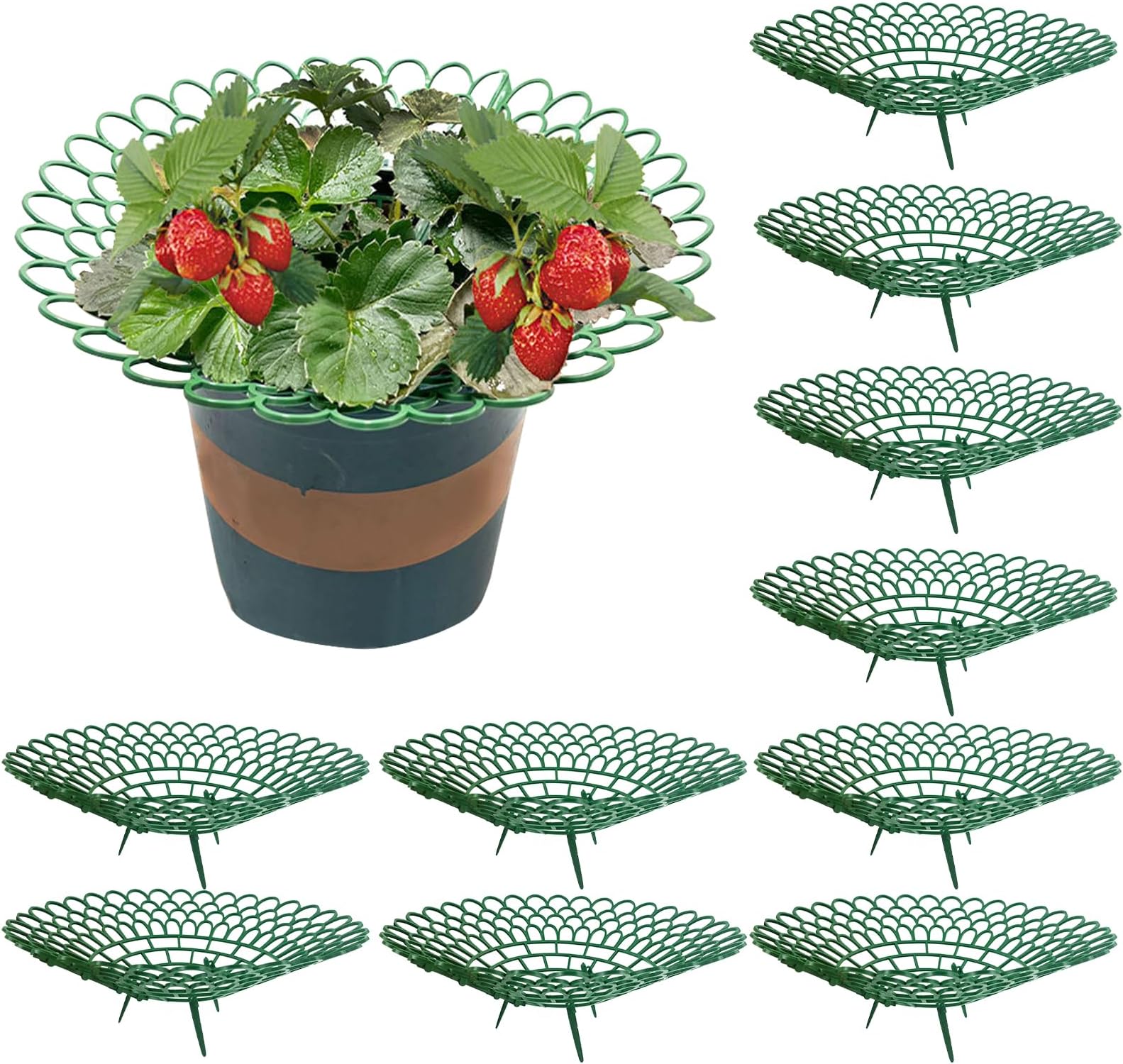 KKONHII 10 PCS Strawberry Plant Supports, Strawberry
