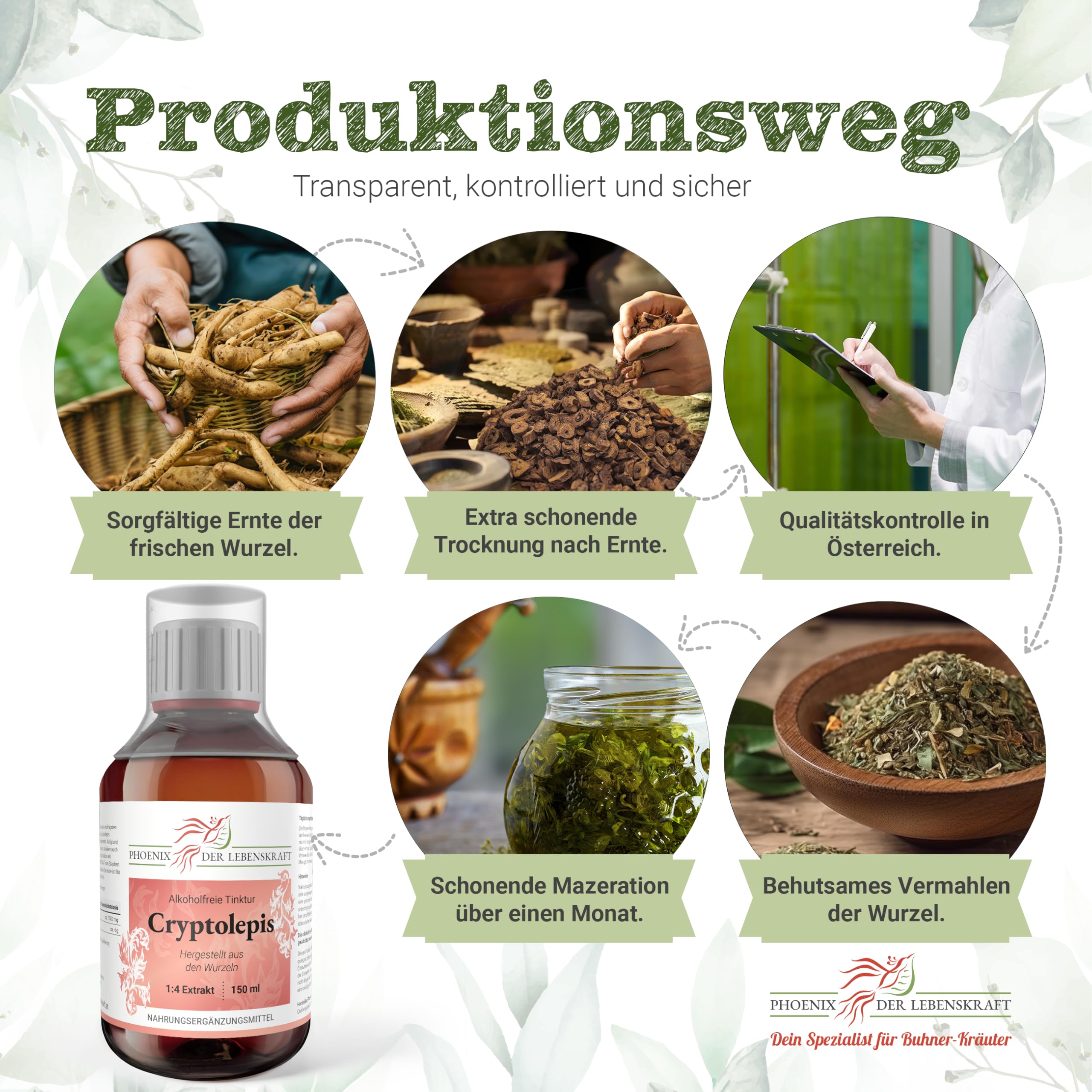 Cryptolepis Tinktur (alkoholfrei) 150ml | Cryptolepis sanguinolenta Tropfen (1:4 Extrakt) | Top Premium Qualität aus Österreich | Veganes Nahrungsergänzungsmittel ohne Zusatzstoffe | Ghana-Quinine