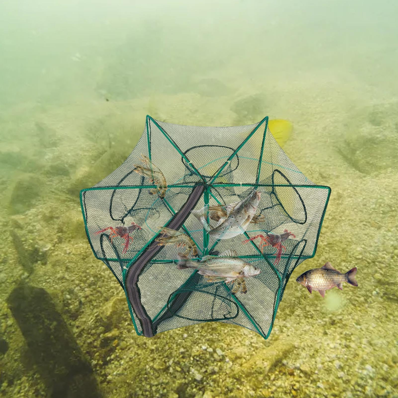 Amazon | MLqkpwy 漁具 釣り 魚取り網 仕掛け 6穴 爆釣 魚 網 お魚 