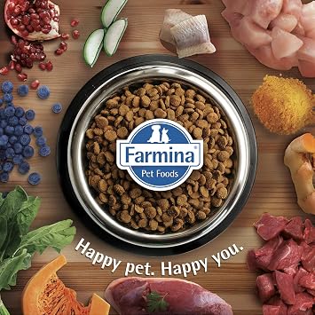N&D Ocean Düşük Tahıllı Balık Portakallı Mini Irk Yetişkin Köpek Maması - 2.5 kg
