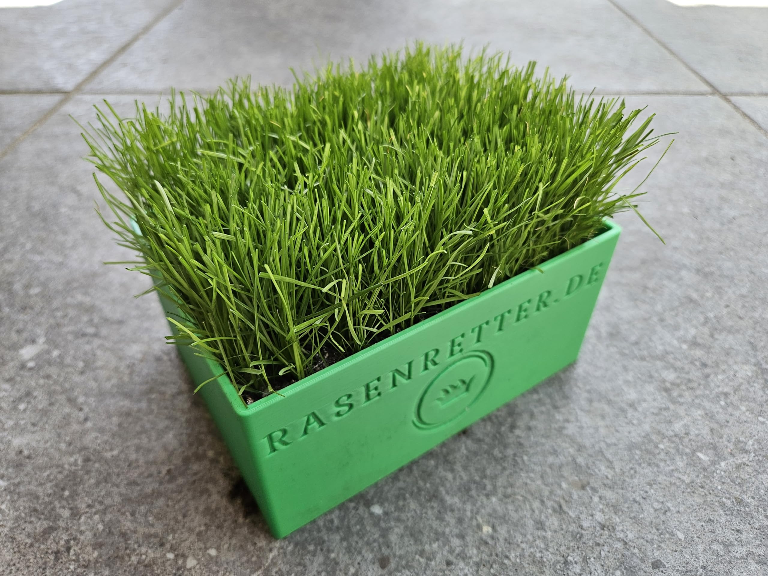 Saatbox einzeln passend für Rasenziegelstecher/Rasensodenstecher 10x15cm
