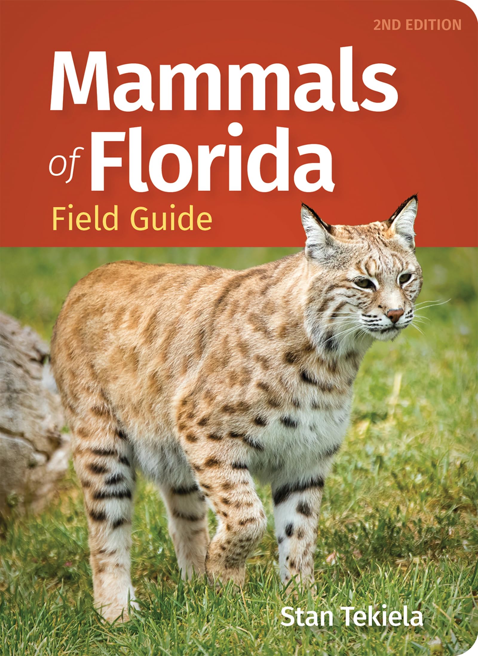 Mammals of Florida Field Guide (Mammal Identification Guides)