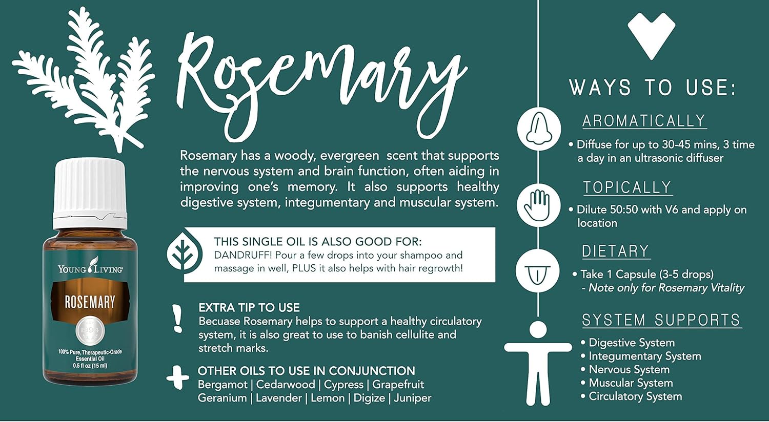 Amazon Com Aceite Esencial 2 X Rosemary 15 Ml Young Living Malasia Envio Estandar Gratis Salud Y Hogar