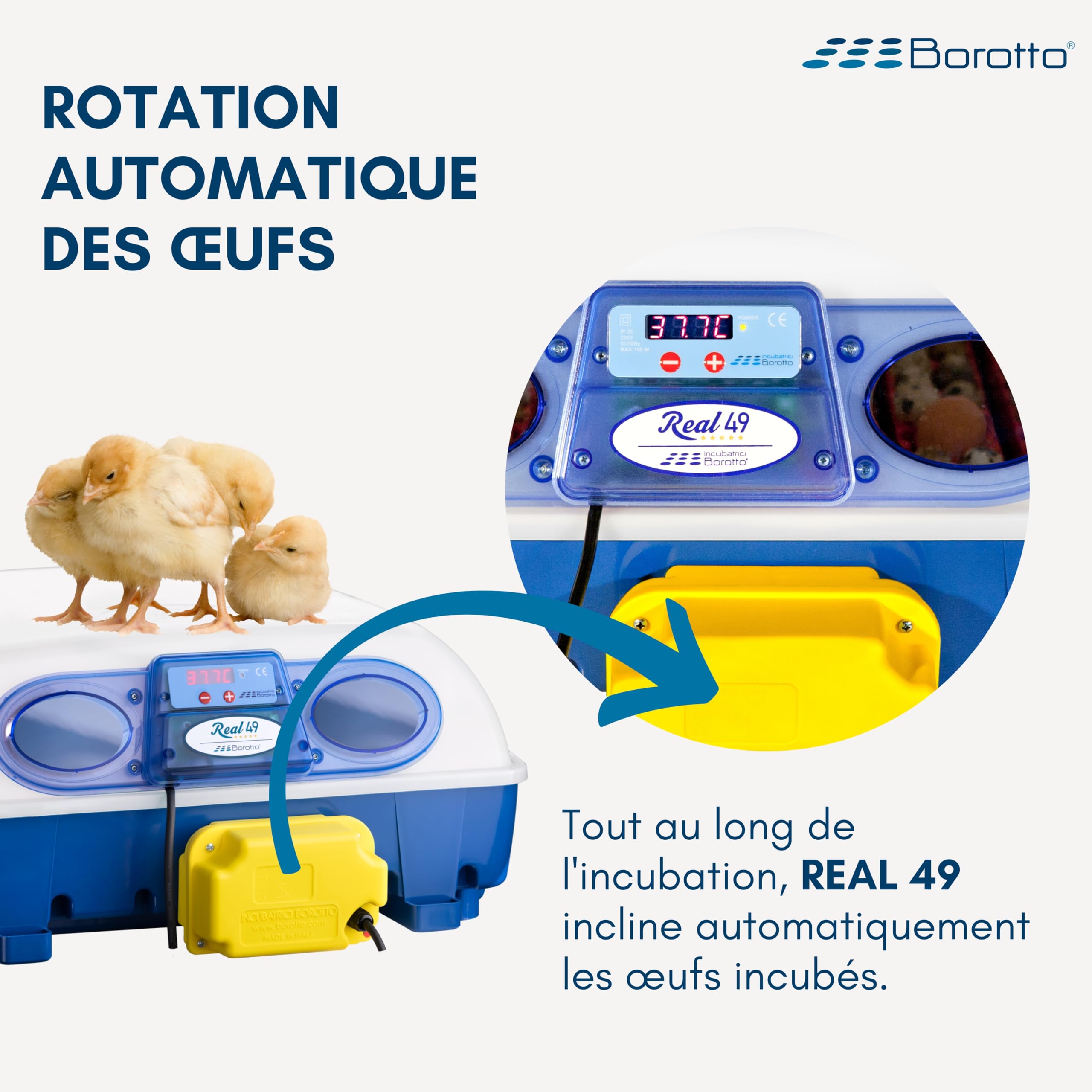 Borotto Real 49 Automatique | Couveuse Oeuf Automatique 49 ou 196 Petit avec Retournement Automatique et Contrôle de la Température | Made in Italy