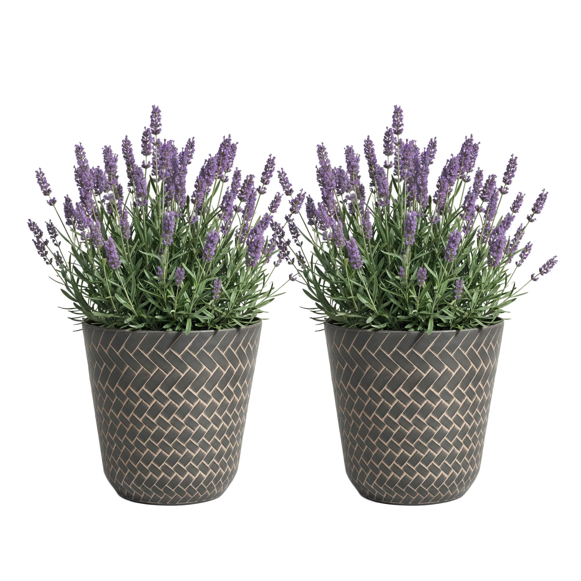 SG Traders Nantucket Plant Pot - Flower Planters Outdoor, Large Garden Pots Elegant Design, Versatile for Your Outdoor Space, Enhance Your Garden (Pack of 2) — image 1