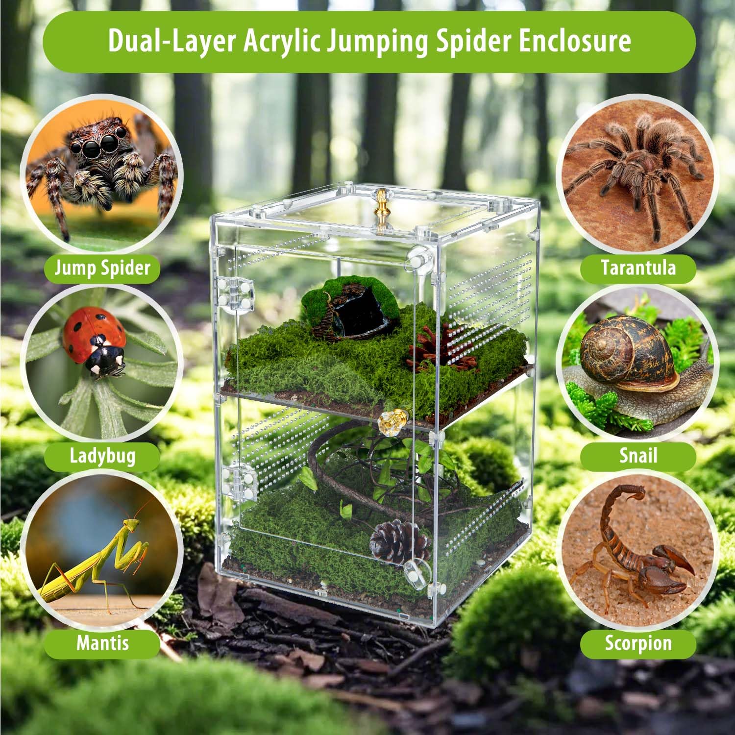 Small Acrylic Terrarium For Jumping Spiders & Micro Pets - 5.9x4.7x6.1" With Magnetic Door & Ventilation