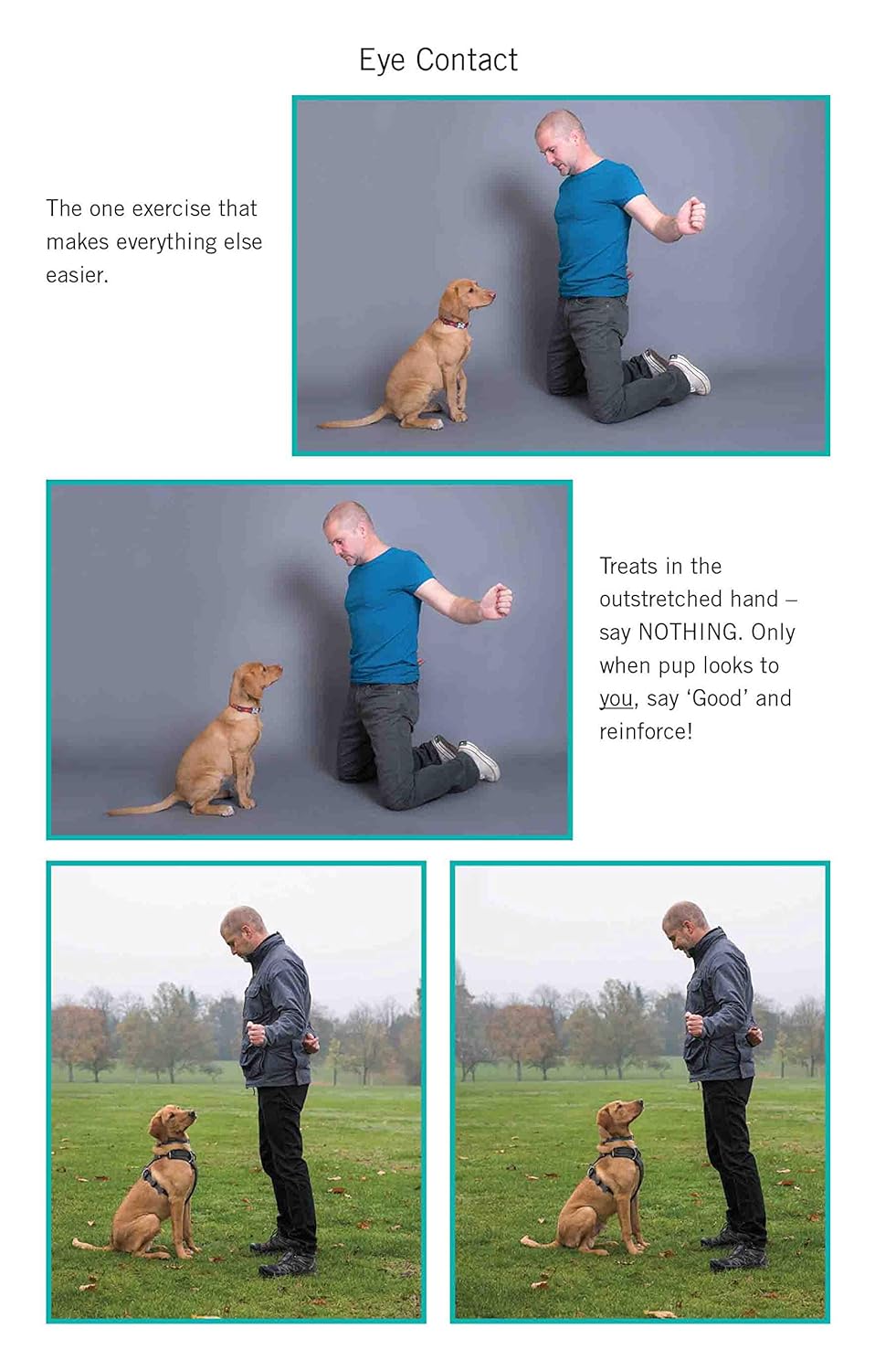 Easy Peasy Puppy Squeezy: The UK's No.1 Dog Training Book 5 Easy Peasy Puppy Squeezy: The UK's No.1 Dog Training Book