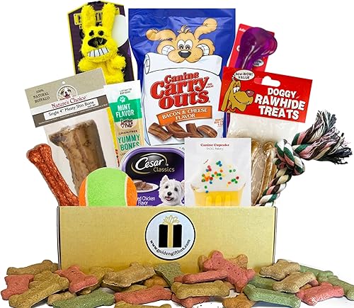 Envía juguetes para perros y golosinas para perros, listo para regalar en nuestra caja de barker. Cesta de caja de regalo para perros para tu bebé