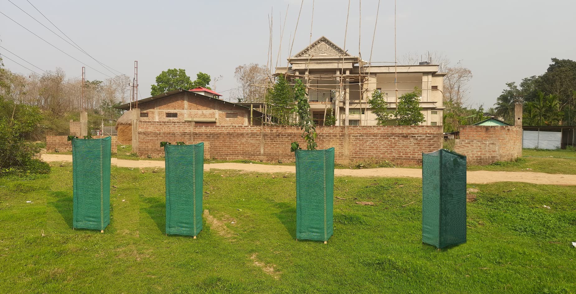 Das Departmental Store's Plant Sapling Weather Protection Green House Net for Plant Growth, Support & Life. (2)