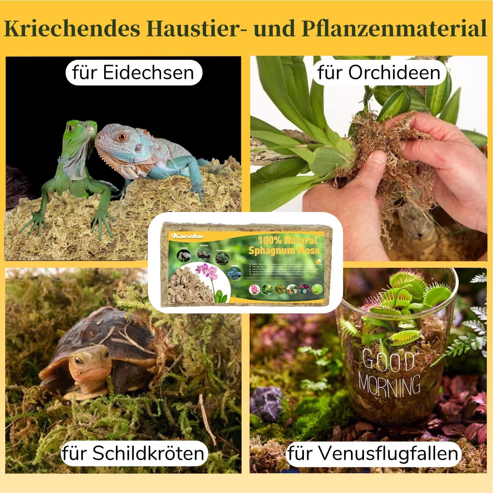Sphagnum Moos 200 G – Organisches Torfmoos Für Orchideen, Gartenblumen & Terrarien, Mit Gelbsticker Gegen Trauermücken