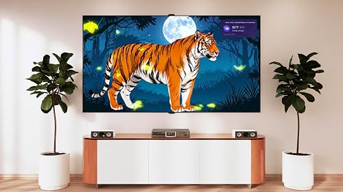 Powerful Relaxation & Focus Aid Pro - HD Tiger Videos with a Time & Weather Display - Thumbnail 3