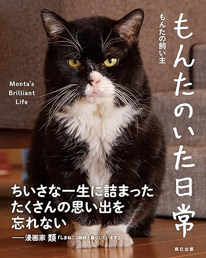 もんたのいた日常 | Kindleストア