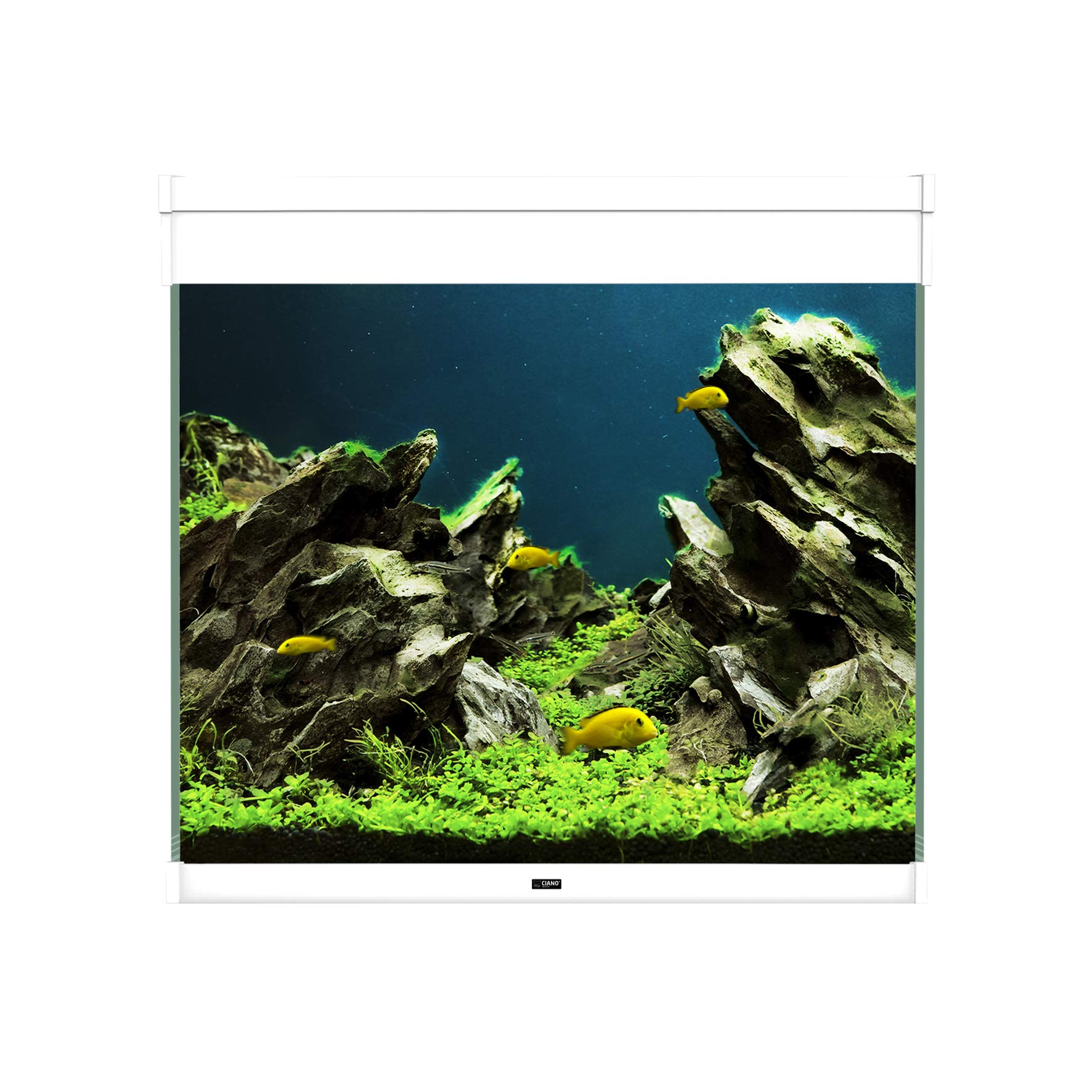 ACUARIOS - Emotions Pro 60 White EUR