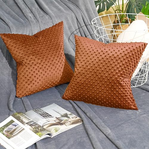 Miniatura 2 de PHF Minky - Funda de almohada de lunares de 20 x 20 pulgadas, paquete de 2 fundas de cojín de terciopelo real de burbujas de Minky suave, acogedora,