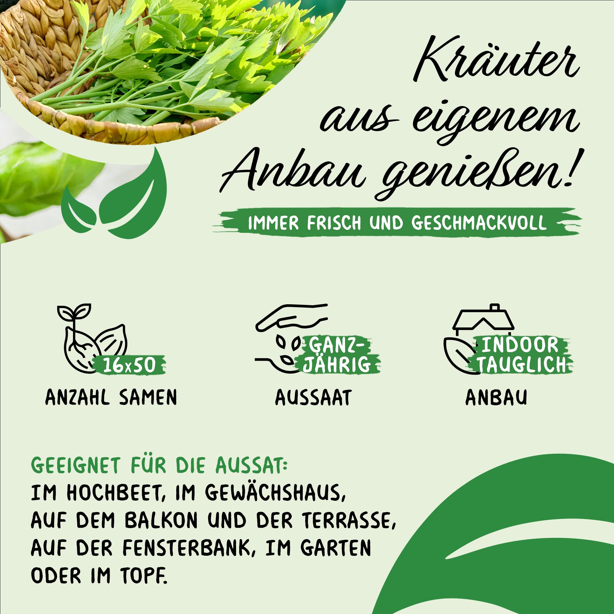 Set de graines d'herbes aromatiques PRADEMIR - 16 variétés d’herbes aromatiques - Graines 100% naturelles – Variétés les plus populaires du Portugal à haut taux de germination.