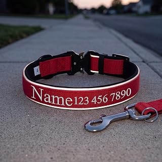 Personalisiertes Hundehalsband, Individuell Besticktes Halsband mit Namen
