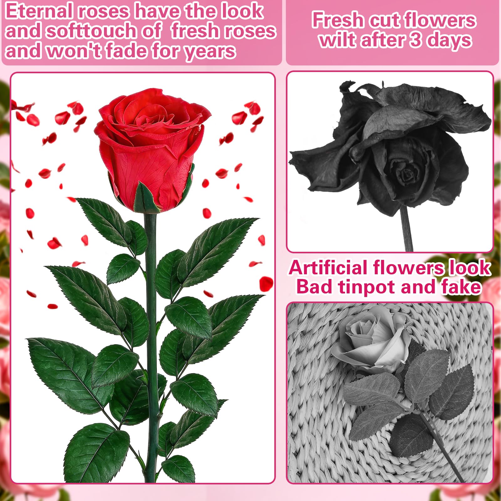 Rosa Stabilizzata, Rosa Eterna con Steli Regalo per Donna, 3 Veri Fiori Stabilizzati, Rosa Rossa per Madre, Moglie, Amica, Donne, Compleanno, San Valentino, Festa Della Mamma, Regalo Natale