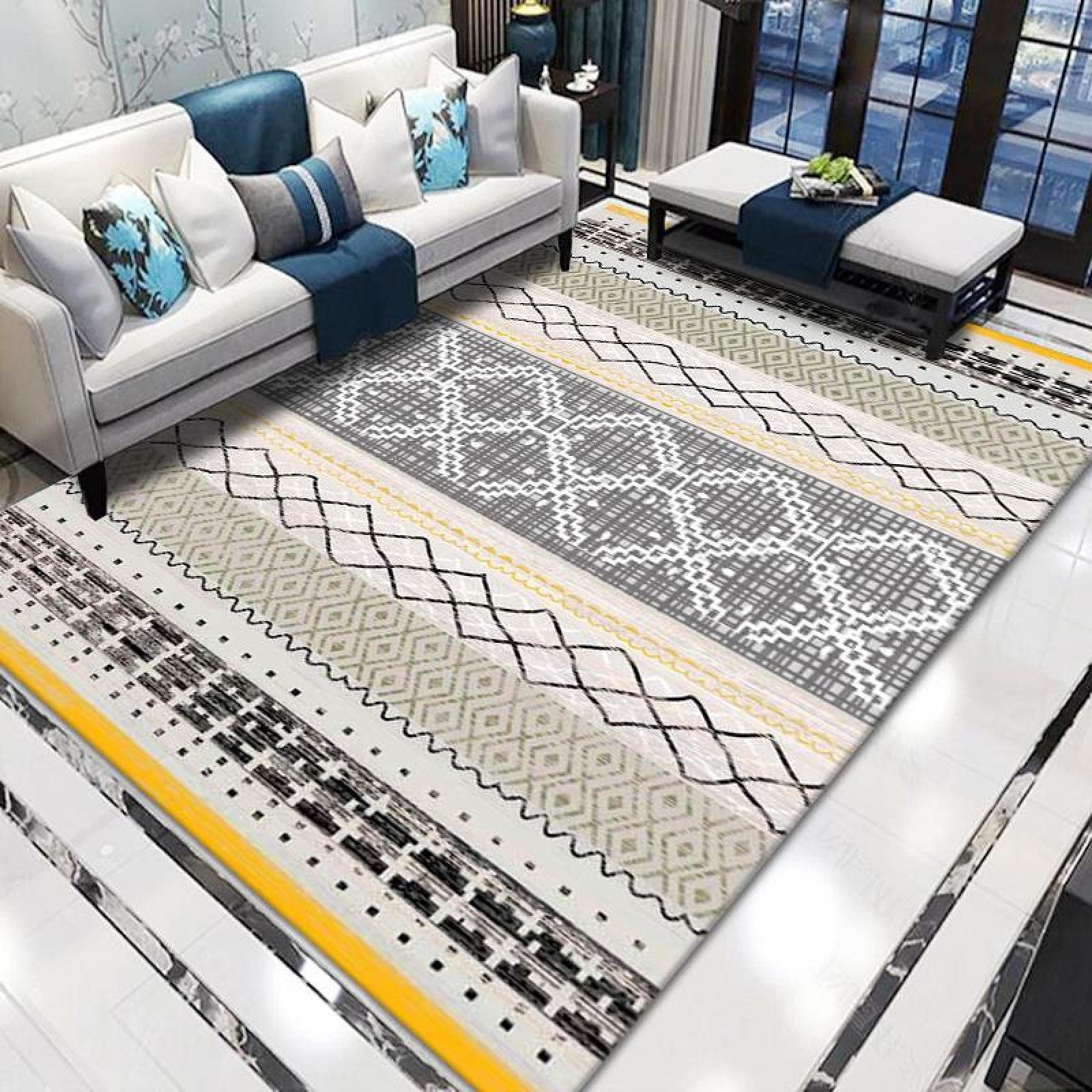Tapis antisalissure et lavable pour éliminer les taches de salon