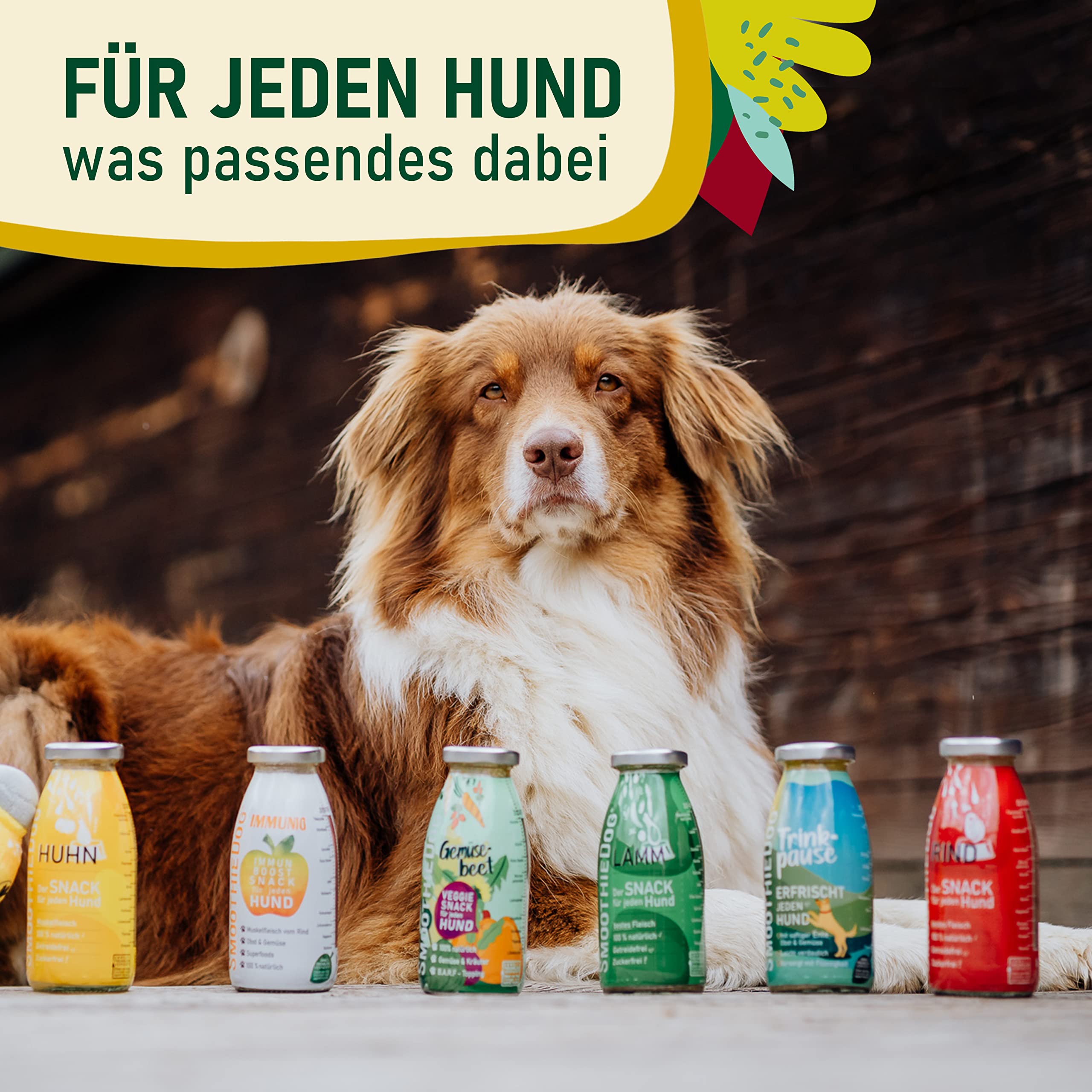 Hunde Smoothie SmoothieDog 6er Mix - je 1x: Huhn, Rind, Lamm, Trinkpause (Ente), Immunio (Rind), Gemüsebeet (vegetarisch) - Flüssiges Hundeleckerli - Zucker- & glutenfrei - je 250ml