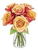 KaBloom Flowers - Mothers Day Collection - Bouquet of 6 Fresh Cut Orange Roses with Vase .Gift for Birthday, Get Well, Thank You, Valentine, Mother’s Day Fresh Flowers