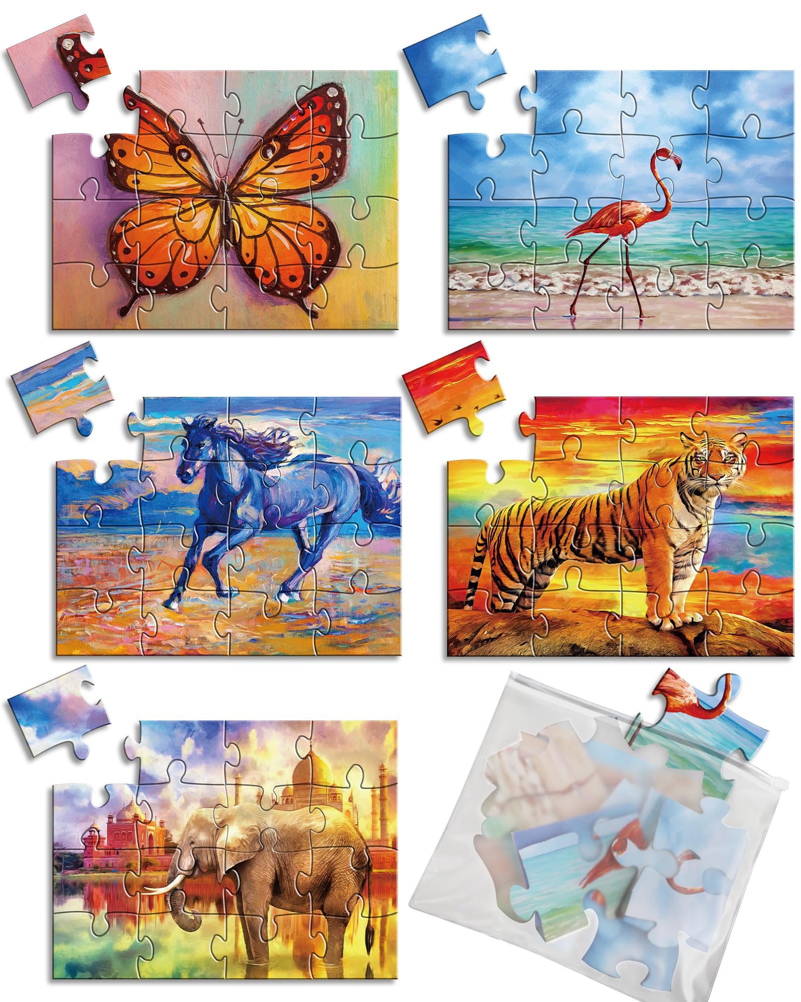 Amazon.com: 5 Packs 16 Piece Large Jigsaw Puzzles for Dementia ...
