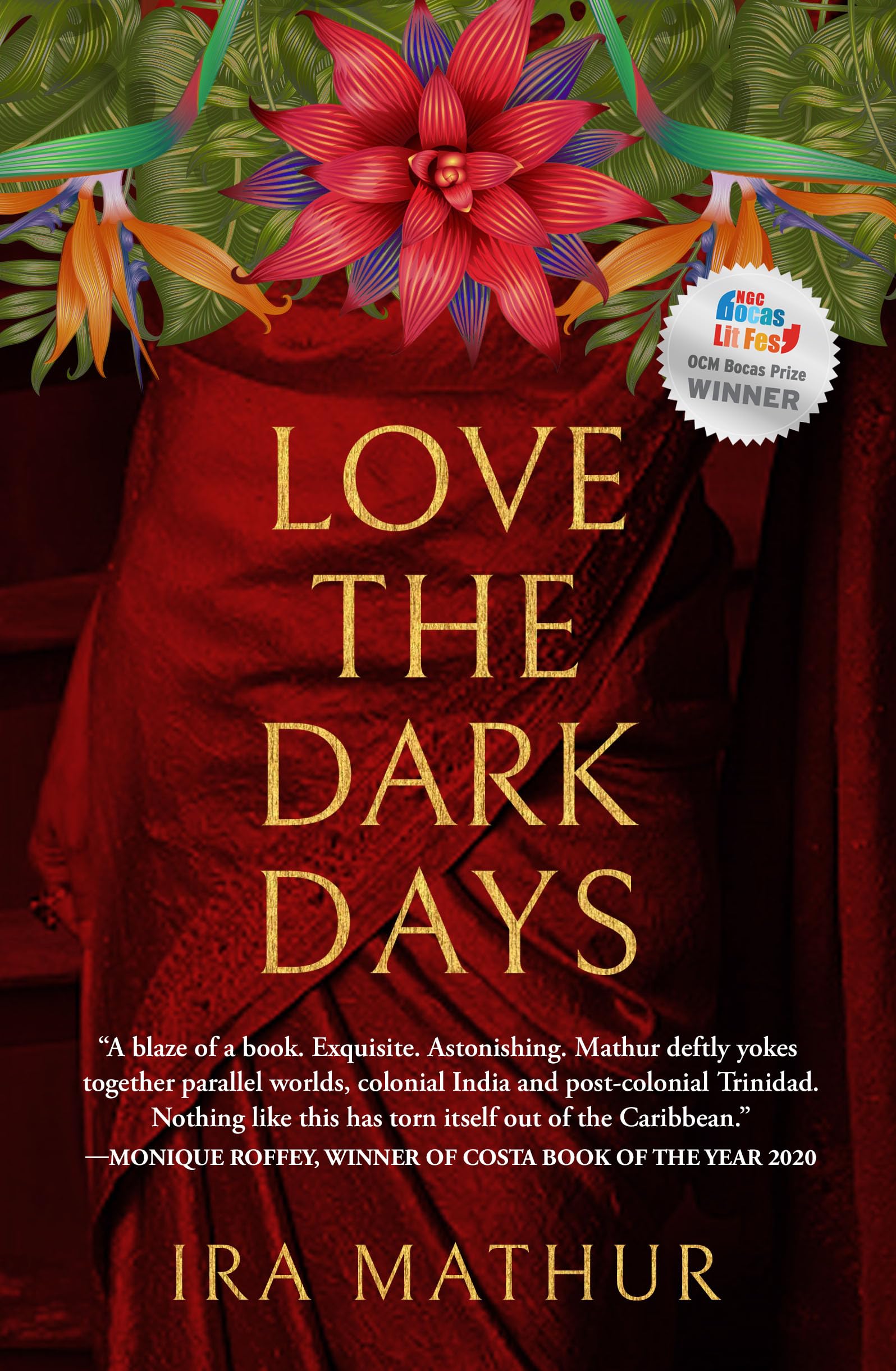 Love the Dark Days,Ira Mathur