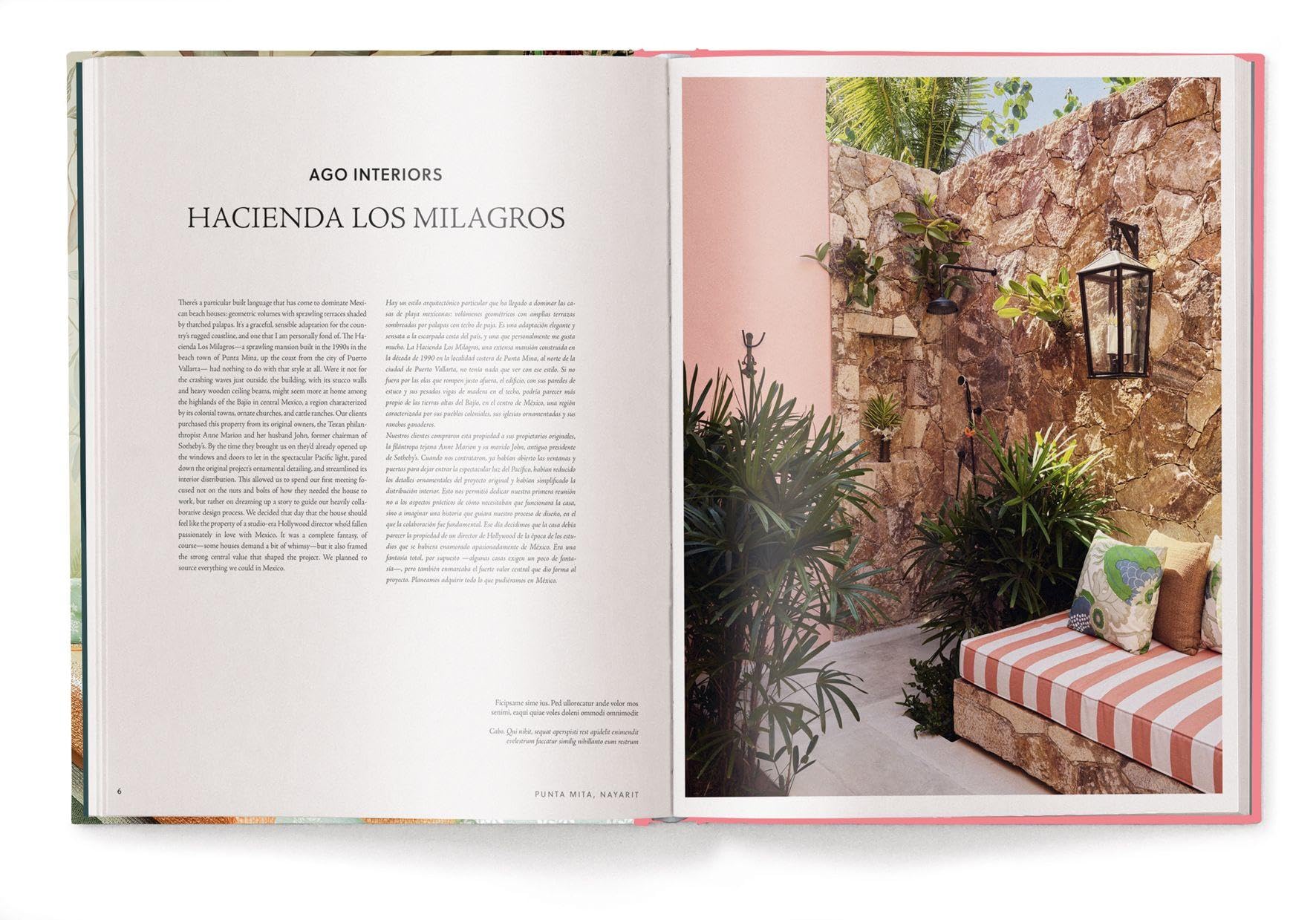 Interior Design in Latin America (World of Interior Design)