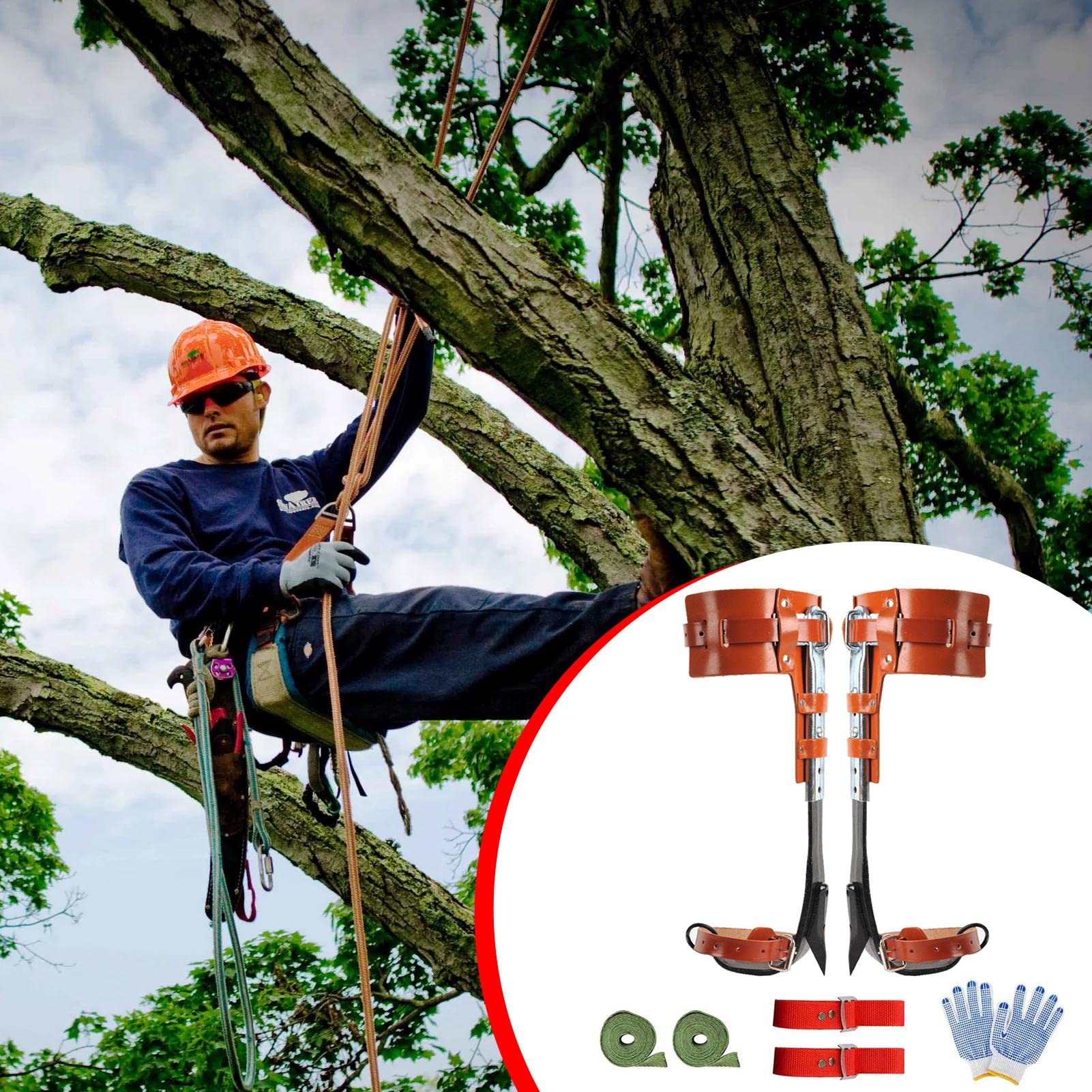 Picos para trepar árboles | Engranaje trepador árboles Acero Inoxidable - Forja Cuero Boutique Vertical y Herramienta para trepar árboles Corbata pie Gran en el árbol