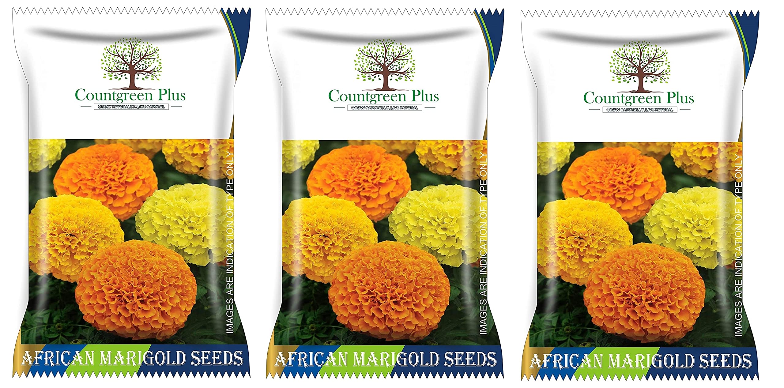 See full amazon price history chart for Countgreen Plus African Marigold (Genda) OrganicAnnual Flower Gardening 400 Seeds (Pack of 3) Countgreen Plus African Marigold (Genda) OrganicAnnual Flower Gardening 400 Seeds (Pack of 3) (B0C2NJVVJT) Amazon Price History, Amazon Price Tracker