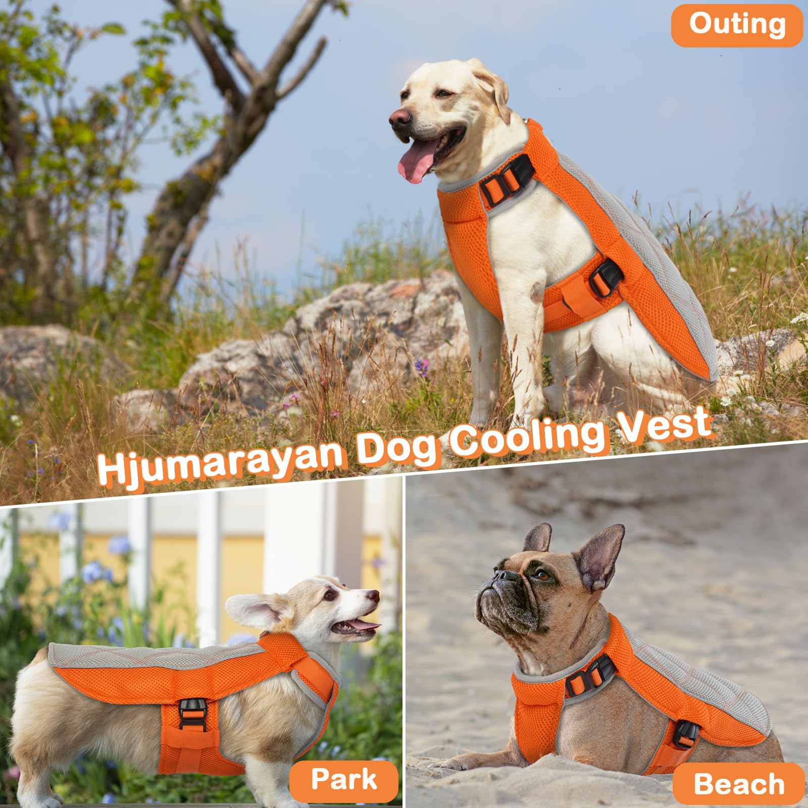 Chaleco Refrescante para Perros, Cómodo Chaleco Refrigerante para Perros Transpirable Chaleco Refrigerante Perro, Ropa de Frio para Perros para días Calurosos de Verano, Naranja XS