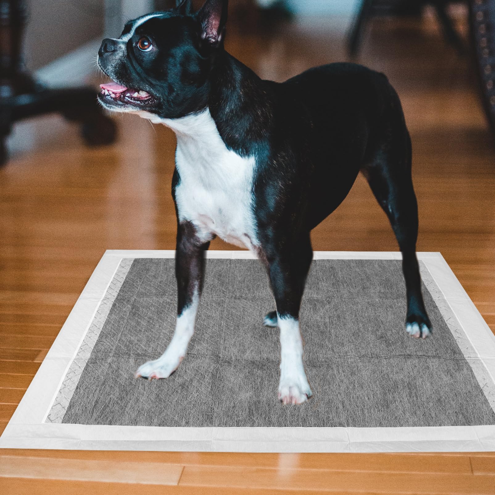 Happyyami 100piezas Alfombrillas Desechables para Entrenamiento De Absorbentes y Transpirables para y Gatos Interiores y Exteriores