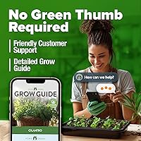 Vista 9 de HOME GROWN Más de 1000 semillas de cilantro para plantar en interiores o exteriores, hierbas tradicionales sin OMG, semillas de plantas de cilantro