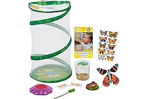 Butterfly Mini Garden Unveils the Miracle of Life with Live Caterpillars