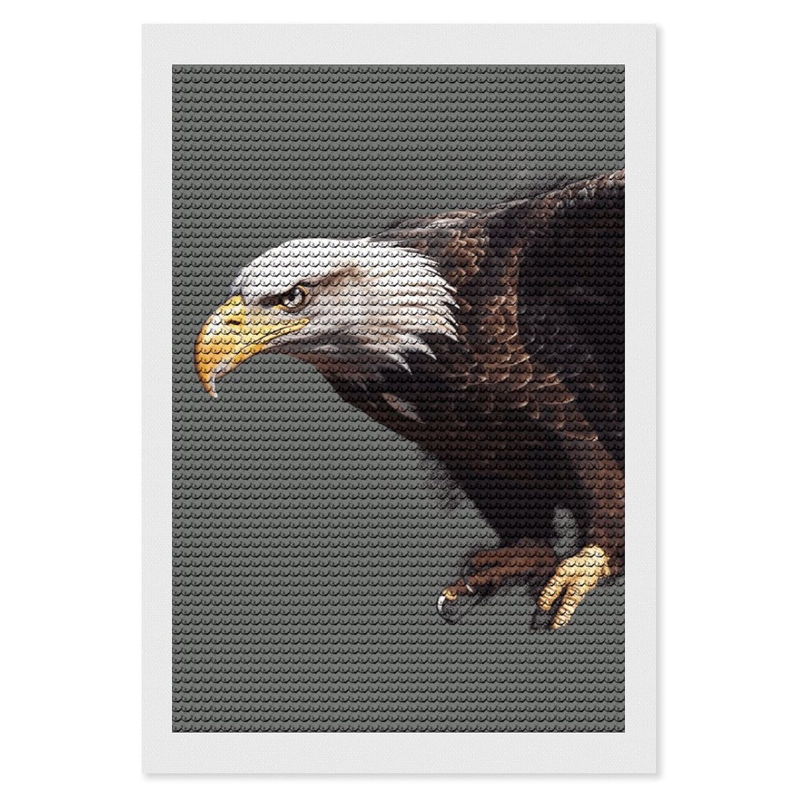 NONHAI Diamond Painting Kits for Adults - DIY Diamond Art Kits for Beginners - Full 5D Paint Drill Diamond Dots Paintings- Eagle Diamonds Pictures Gem Art and Craft Wall Decor 8"x12"