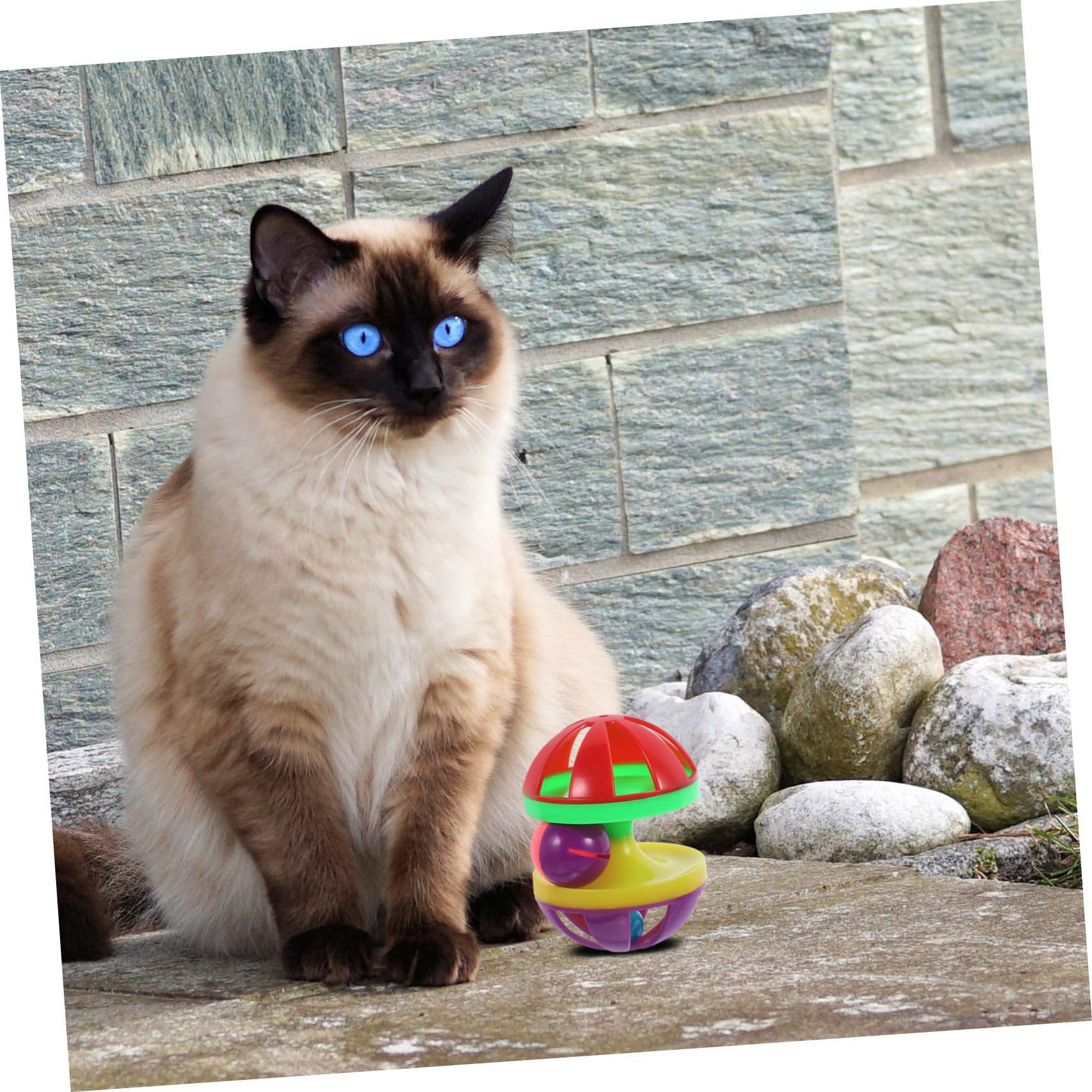 DOITOOL 12 Piezas De Juguetes Suministros para Mascotas Bumbells De Juguete para Gatos Pelotas para Gatos Pelotas De Juguete Pelotas para Gatos Juguetes para Gatos Pelota De Burla